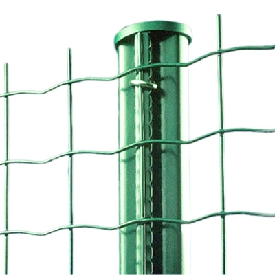 PVC ISO9001 покрыл загородку ячеистой сети Голландии ловя сетью тип евро высоты 60cm-200cm